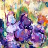 Irises - SOLD