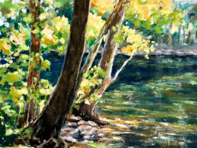 "Sunlit Sycamores" "Sunlit Sycamores"