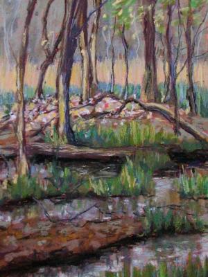 "Woodland Marsh" "Woodland Marsh"