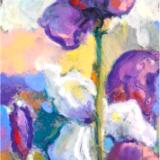 Purple and White Irises