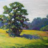 "Summer Tree"